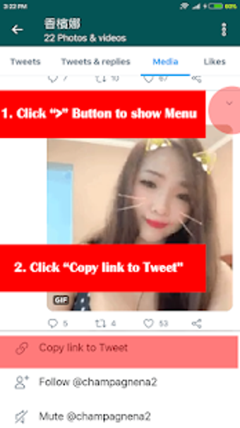 Imagen 0 para Twitter Video Downloader …