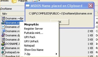 Image 0 for Show DOS Name