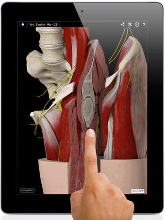 Image 0 for Hip Pro III with Animatio…