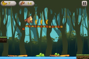 Image 0 for The Kong