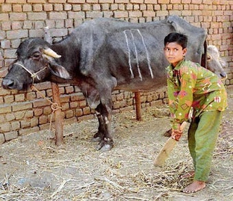 Image 1 for Desi Jugaad