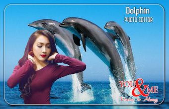 Imagen 2 para Dolphin Photo Editor