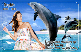Imagen 1 para Dolphin Photo Editor
