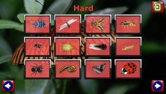 Imagen 1 para Kids Insect Jigsaw Puzzle