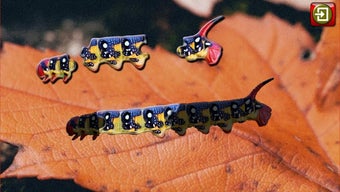 Imagen 0 para Kids Insect Jigsaw Puzzle