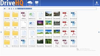 Image 1 for DriveHQ FileManager Lite …
