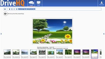 Image 2 for DriveHQ FileManager Lite …