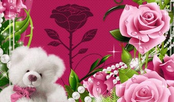Image 3 for Beautiful Roses Photo Fra…