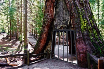 Image 0 for Yosemite National Park Es…