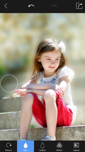 Imagen 2 para Blur Photo Background