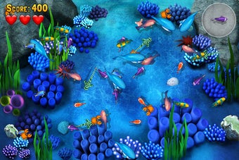 Image 0 for Fish the Fishes