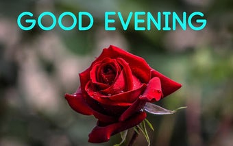 Imagen 1 para Good evening messages and…