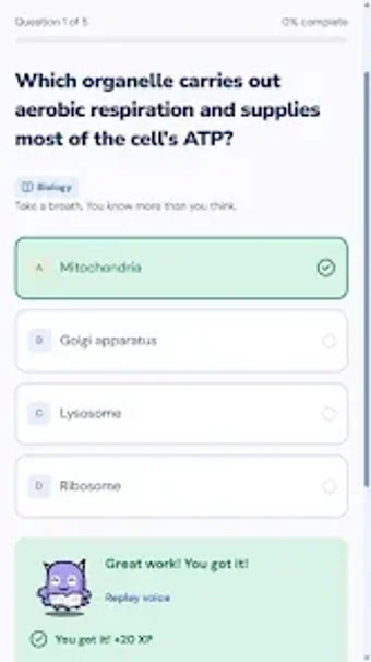 Image 0 for ExamRaid: AI Quiz Maker
