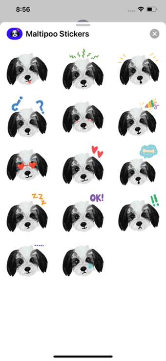Image 2 for Maltipoo Dog Stickers