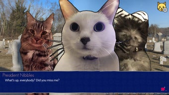 Image 0 for Cat President: 3rd-Rate C…