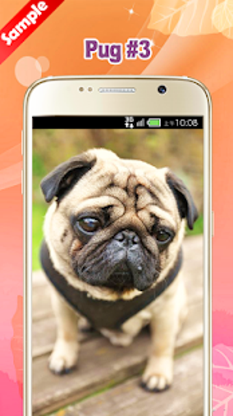 Imagen 0 para Pug Wallpaper