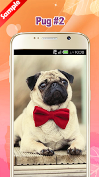 Imagen 2 para Pug Wallpaper