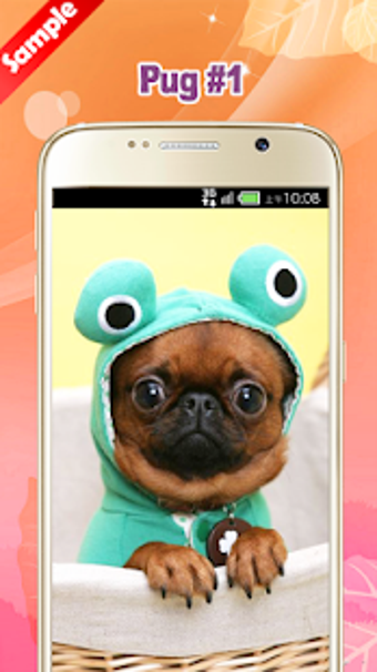 Imagen 3 para Pug Wallpaper
