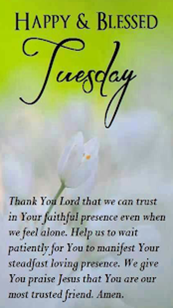 Image 3 for Daily Wishes and Blessing…