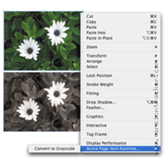 Image 0 for Lightning Brain Color2Gra…