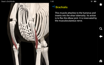 Image 0 for Dog Anatomy: Canine 3D