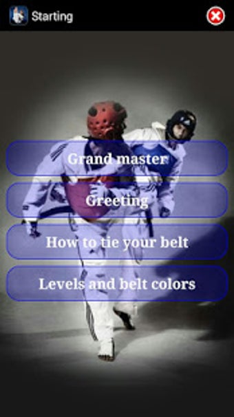 Imagen 1 para Taekwondo WTF