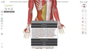 Imagen 3 para 3D Organon Anatomy for Wi…