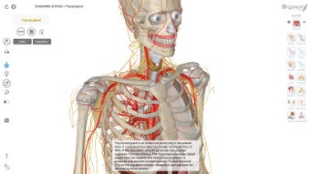 Imagen 1 para 3D Organon Anatomy for Wi…