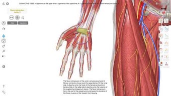 Imagen 1 para 3D Organon Anatomy for Wi…
