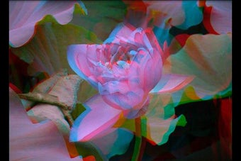 Image 2 for Stereoscope