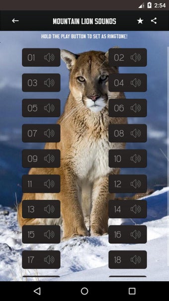 Image 0 for Cougar & Mountain Lion So…