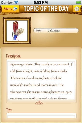 Image 0 for Anatomy Muscle and Bone: …