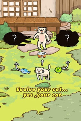 Image 1 for Cat Evolution World
