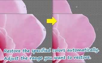 Image 2 for Edge Tracer - Superimpose…