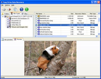 Imagen 0 para Easy NTFS Data Recovery