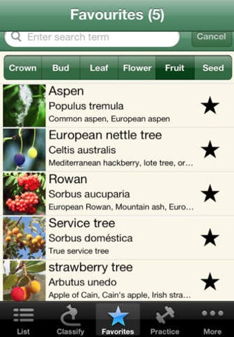 Image 0 for iForest - Trees & Bushes