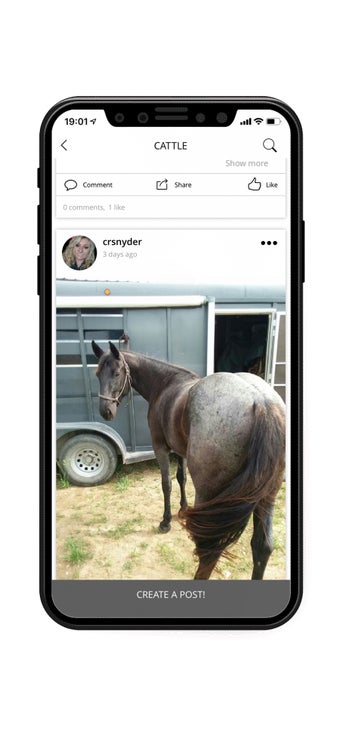 Image 2 for Open Range