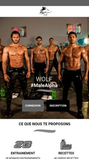 Image 2 for Wolf