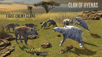 Imagen 0 para Clan of Hyena