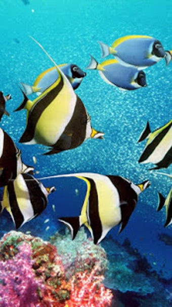 Imagen 2 para Aquarium Live Wallpaper  …