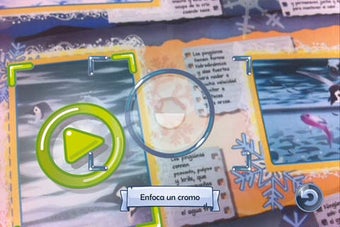 Image 0 for Animales Panini