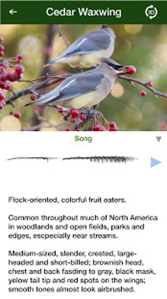 Image 0 for BirdGenie: ID Birds by So…