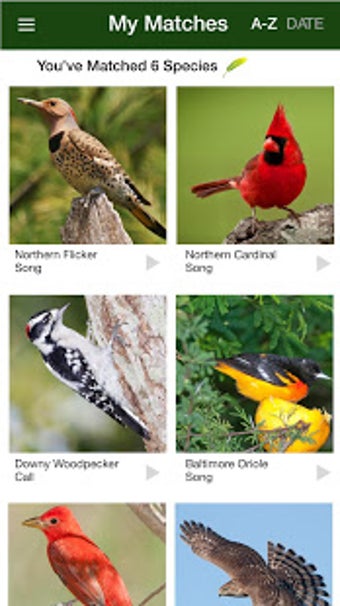 Image 3 for BirdGenie: ID Birds by So…