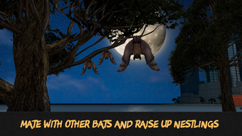 Image 1 for Flying Bat Survival Simul…