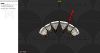 Image 1 for Anomalous Medical