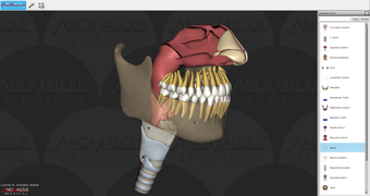 Image 2 for Anomalous Medical