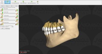 Image 7 for Anomalous Medical