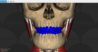 Image 0 for Anomalous Medical