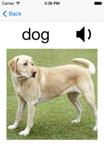 Image 0 for Basic English Vocabulary …
