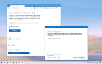 Image 0 for Windows 11 Disk Image (IS…